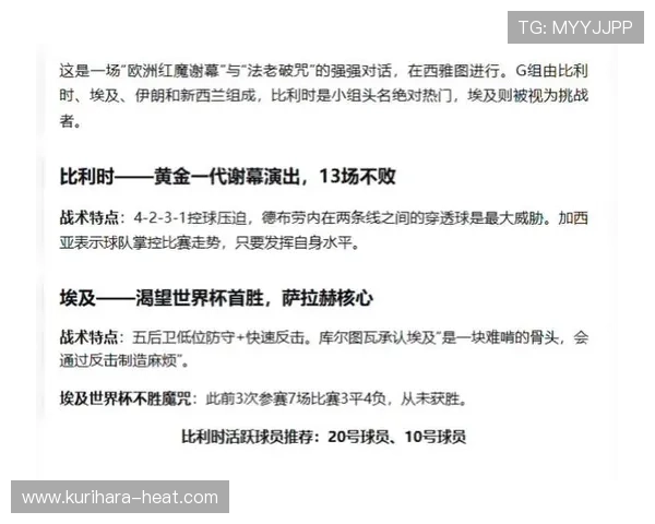 2026年世界杯比利时对阵埃及比赛观赛安全提示与入场注意事项总结
